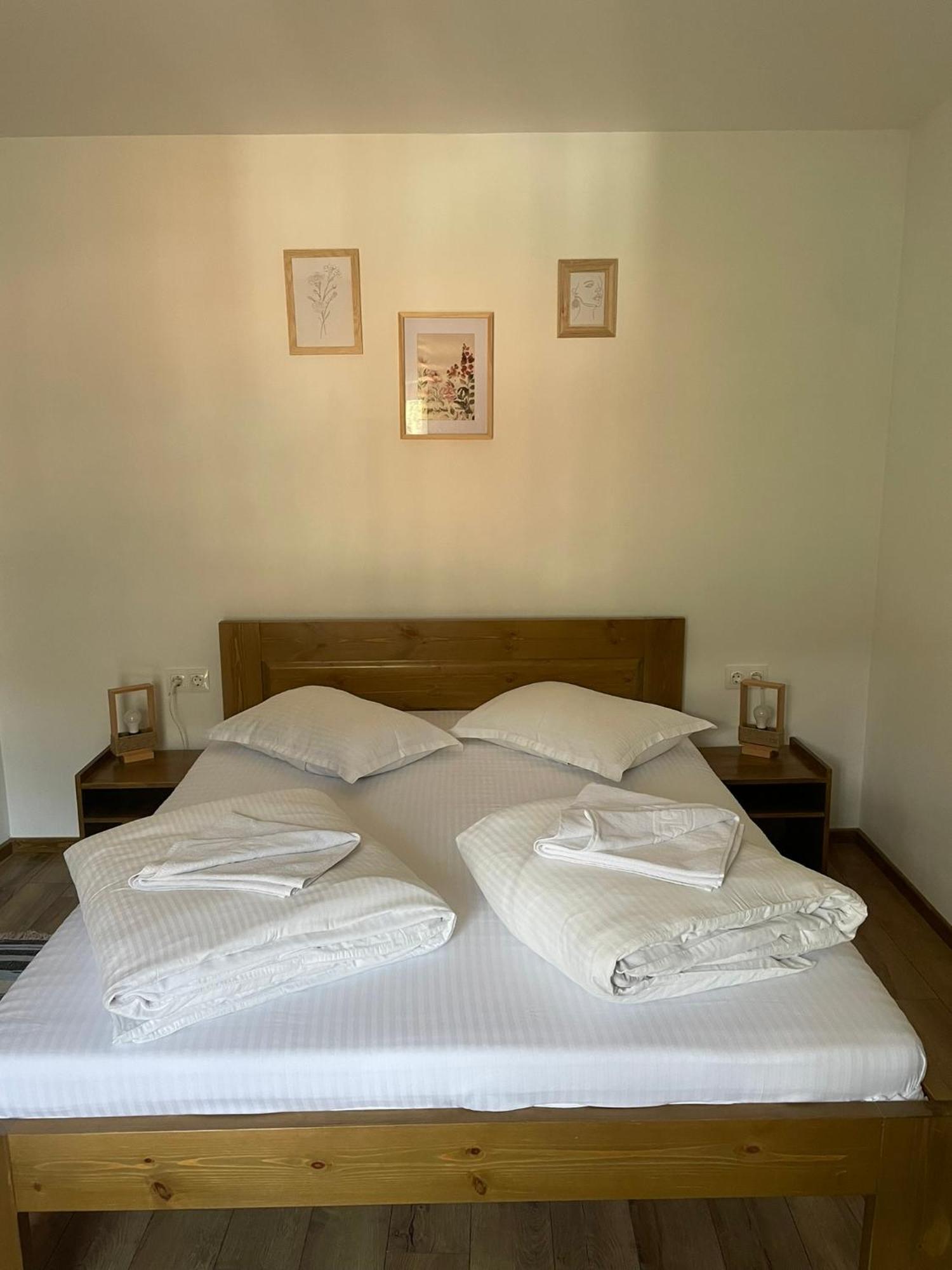 Villa Hope BaileTusnad Extérieur photo